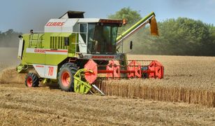 Żniwa 2025. Rolnicy dopłacą potężne pieniądze. Padły liczby