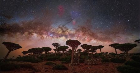 Raj dla fotografów krajobrazowych w obiektywie podróżnika. Poznajcie Sokotrę