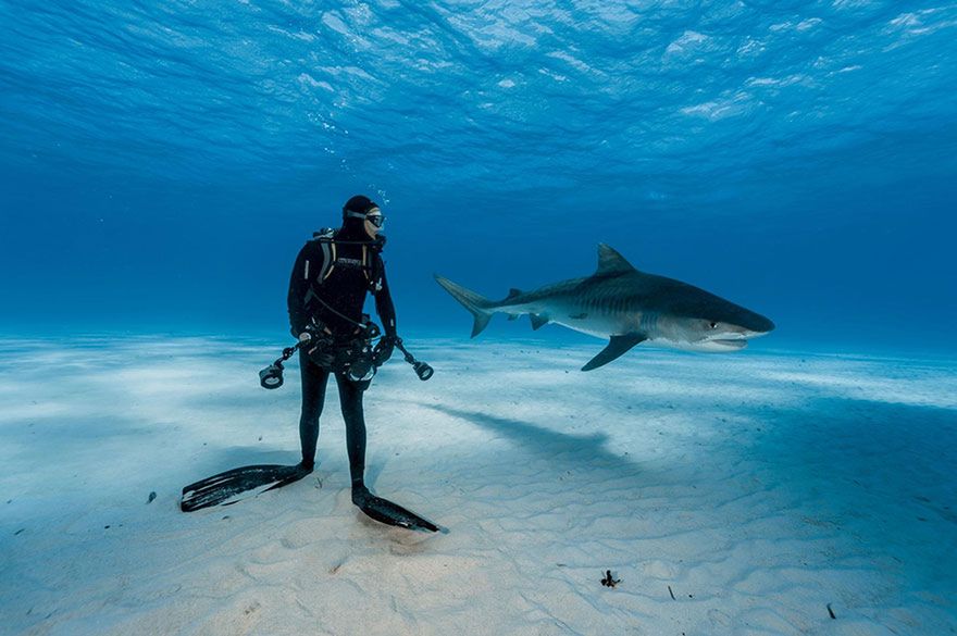 Oto najlepsze fotografie 2016 roku według magazynu National Geographic 24