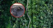 Niepokojące zgłoszenie do leśników. Widok poruszył wszystkich