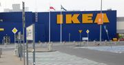 Zwolnienia w kolejnym polskim zakładzie IKEA. Pracę straci nawet 240 osób