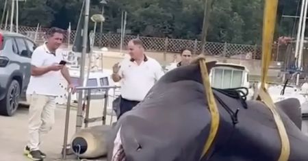 Zdziwienie na plaży we Włoszech. Gigantyczny rekin