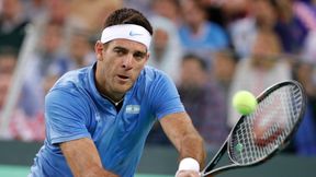 ATP Delray Beach: Juan Martin del Potro wraca na kort, Milos Raonić turniejową "jedynką"
