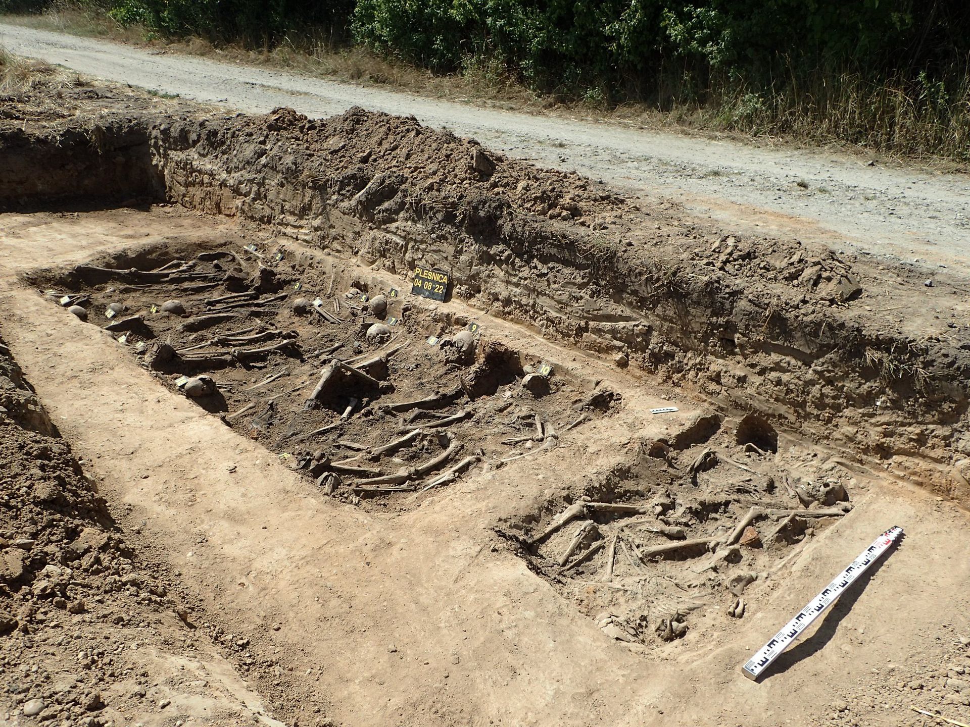 Odkrycie w Pleśnicy