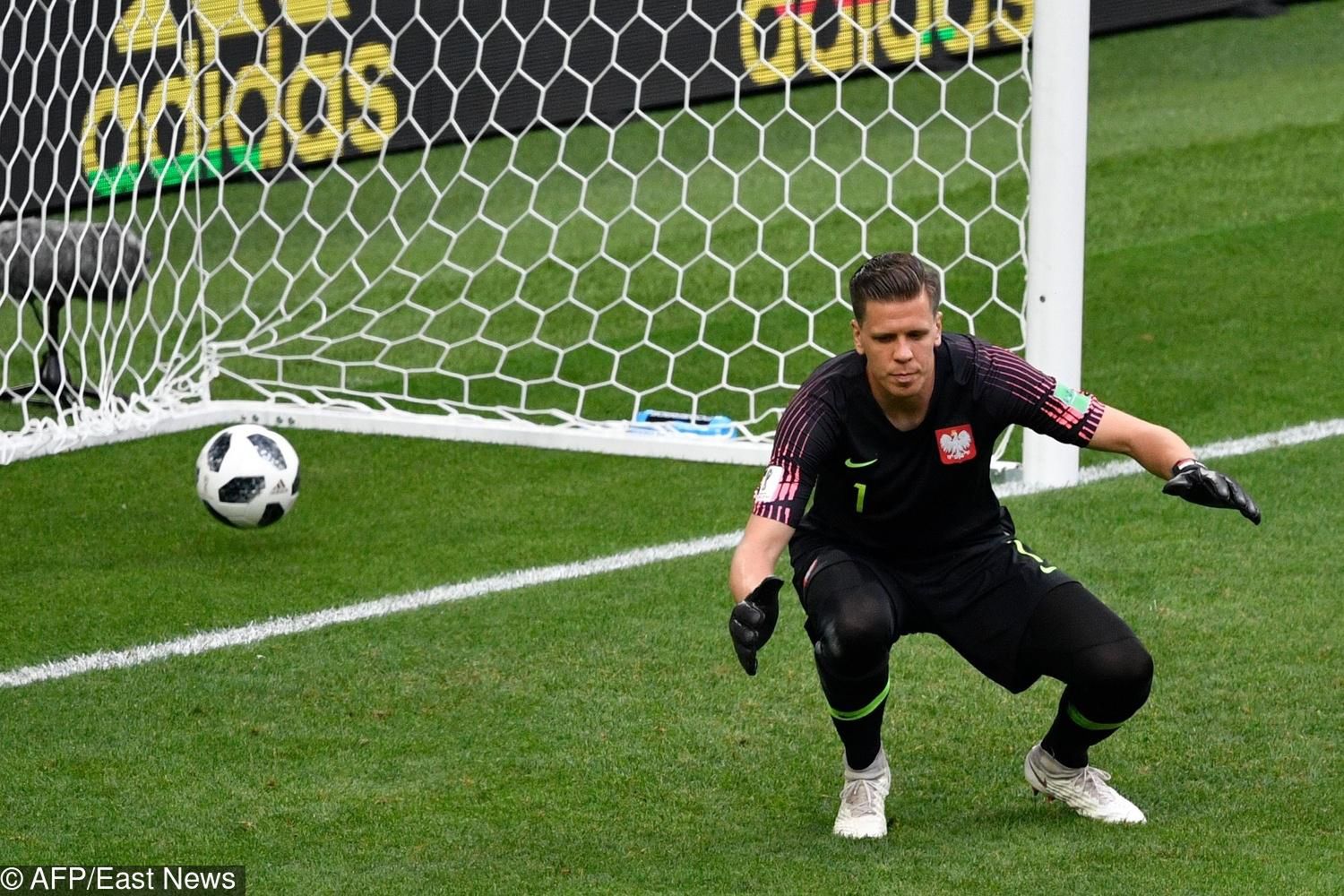 Mecz Polska-Senegal, Mundial 2018, na zdj. Wojciech Szczęsny, gol samobójczy