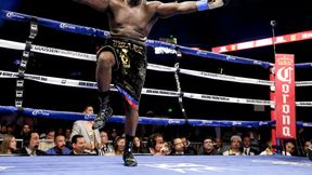 Bermane Stiverne wraca na ring w lipcu