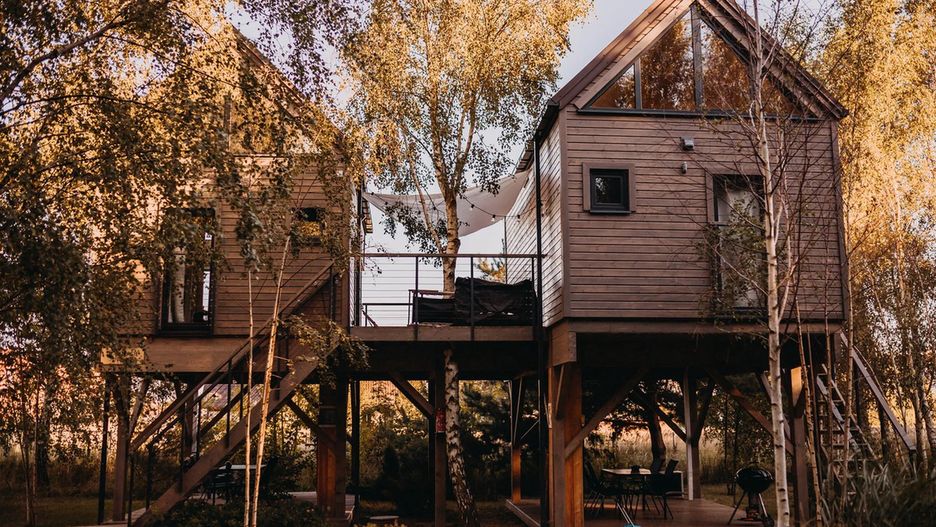 W domkach na drzewie nie ma telewizora ani konsoli do gier