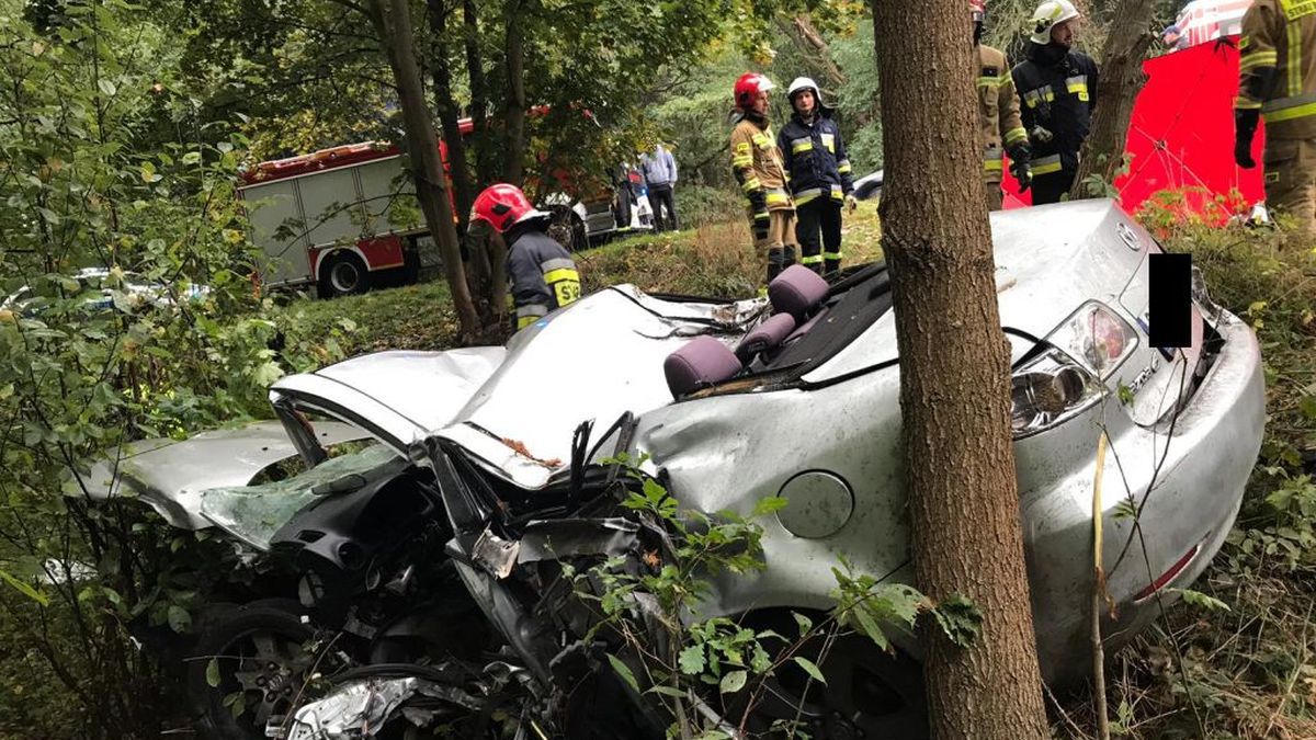 Co się stało na drodze niedaleko Bełchatowa?