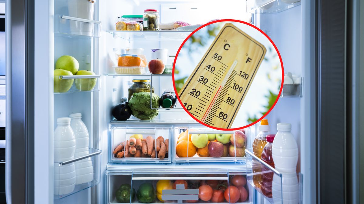 Optymalna temperatura w lodówce latem 