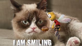 Grumpy Cat reklamuje płatki śniadaniowe!