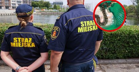 Akcja służb w Warszawie. Alarmujące odkrycie w domu