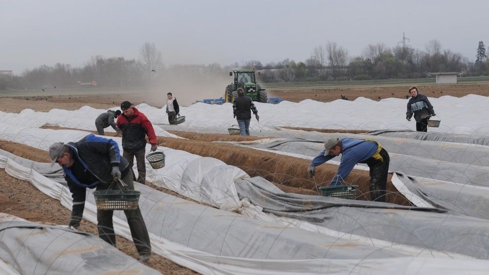 Polacy mogą być wzorem pracowitości dla Europejczyków.