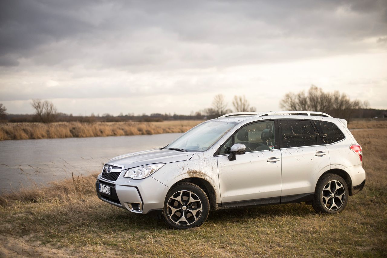 Subaru Forester 2.0XT Platinum - test [wideo]