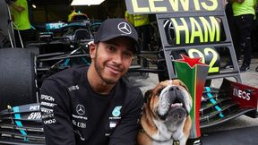 Lewis Hamilton znów wystawił się na atak. Kibice są wściekli