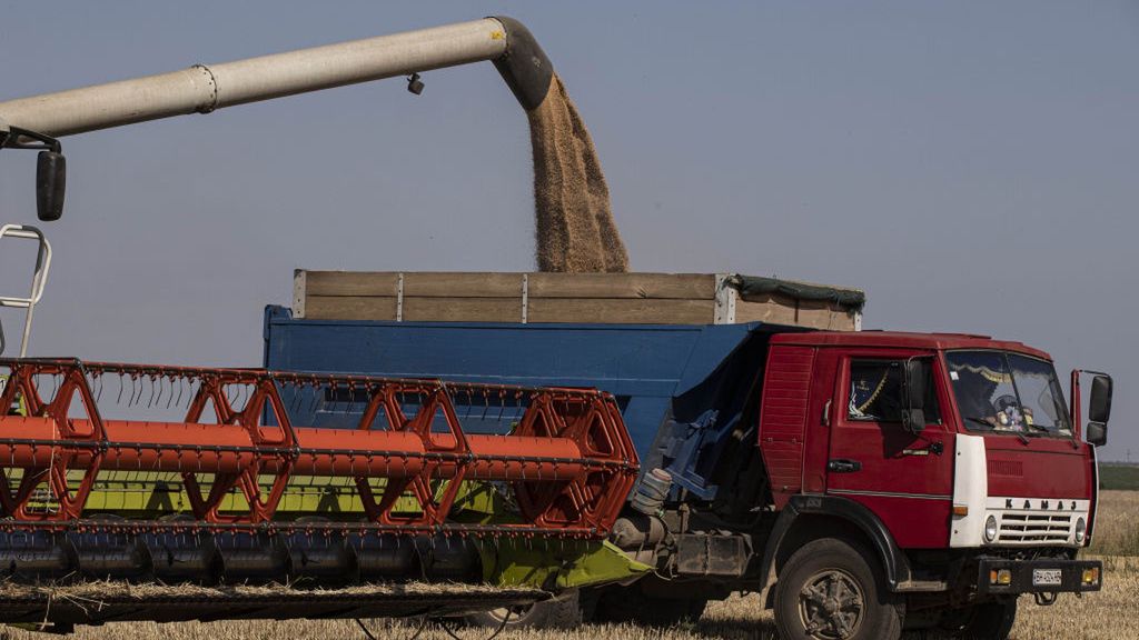 Holenderska firma czerpie ogromne zyski z handlu zbożem z Rosji?
