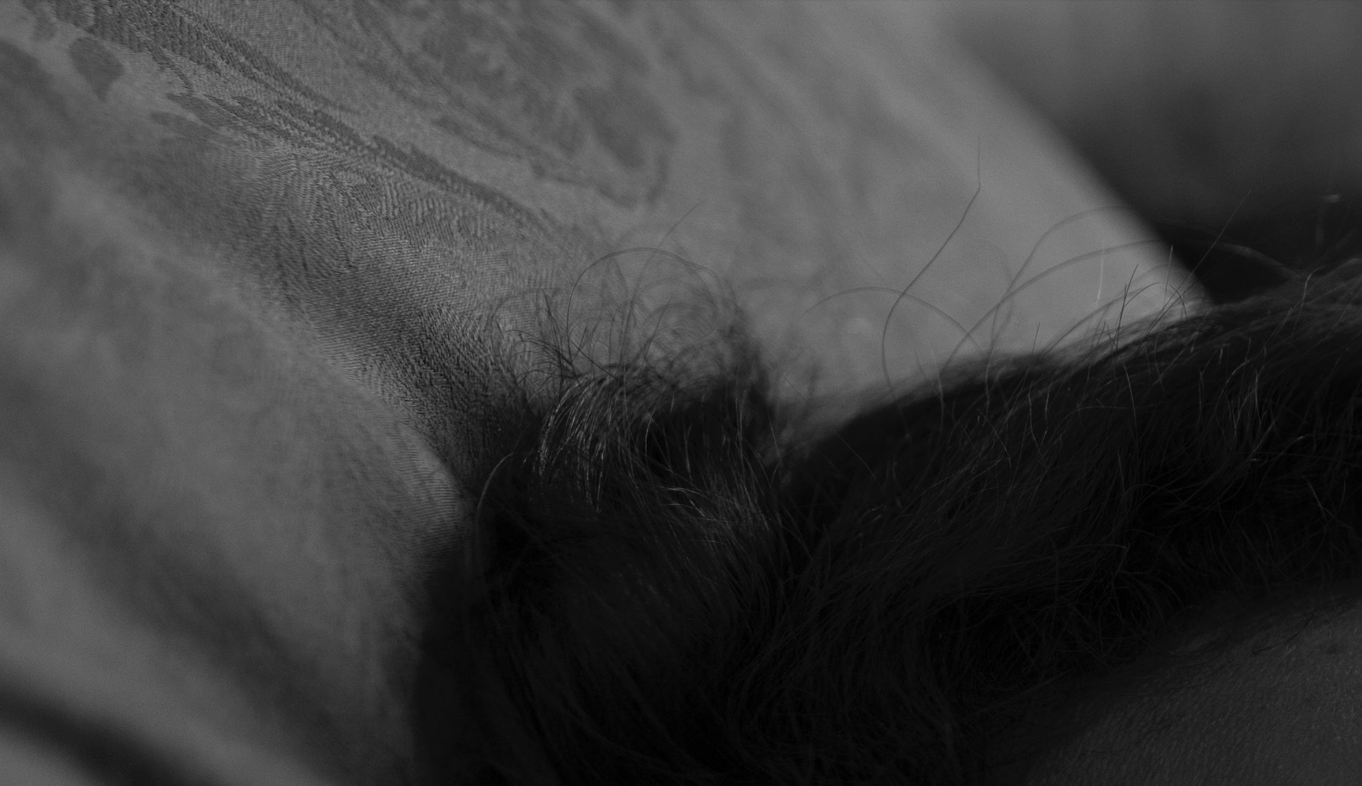 Leica S (Typ 007) - królowa średniego formatu w akcji [test] 41