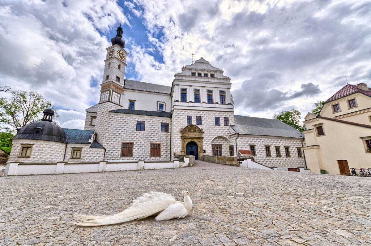 Pardubice, Czechy