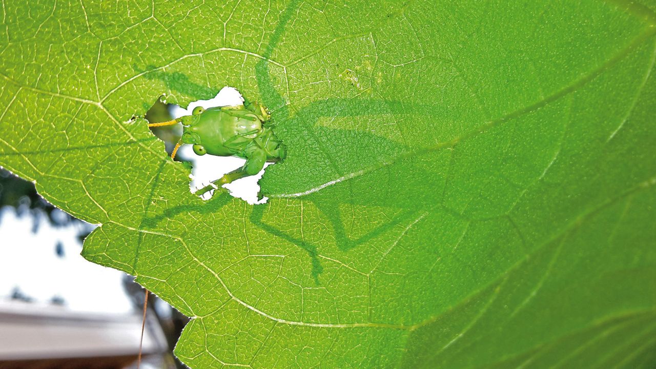 Zobacz zdjęcia, które wygrały w National Geographic Kids Photo Contest 2015