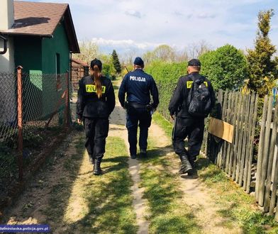 Lublin. 86-latek próbował otruć psy sąsiadek. Może trafić na trzy lata do więzienia