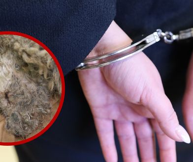 Wyrzuciła psa przez balkon. "Muniek" w ciężkim stanie