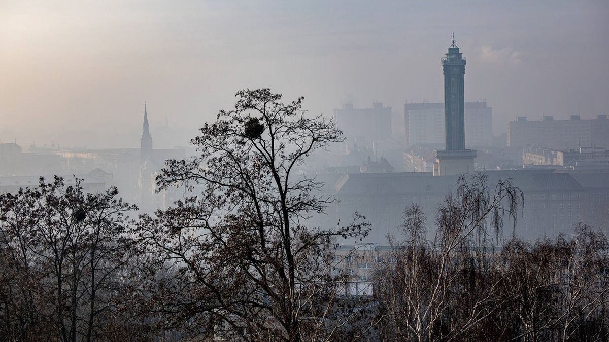 Smog jest bardzo szkodliwy.