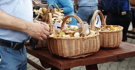 Grzyby już na straganach. Wiadomo, gdzie można kupić je najtaniej