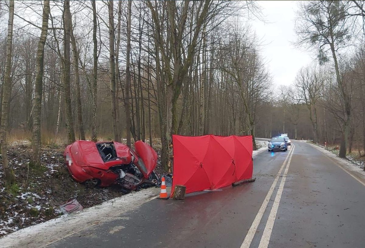 Do wypadku doszło na drodze Młynary-Elbląg. (Fot. KMP w Elblągu)