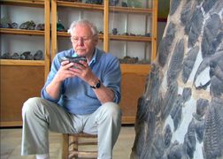 Polsat Viasat Nature HD Z Davidem Attenborough dookoła świata