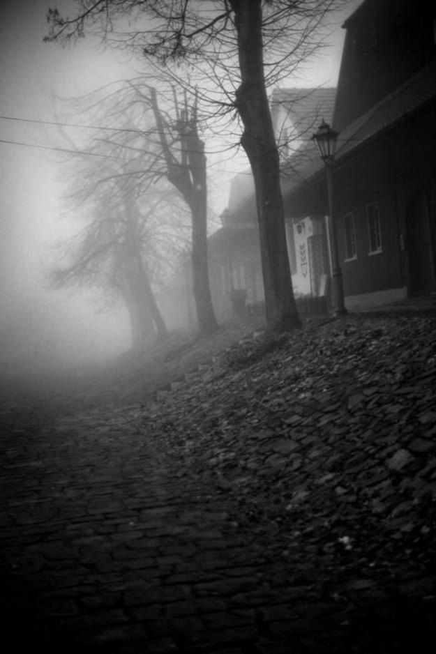 Frymografia: mgliście i przejrzyście 4