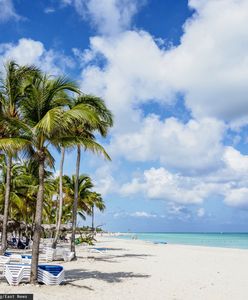 Zostawili ciało na leżaku. Wróciło do Kanady zamienione