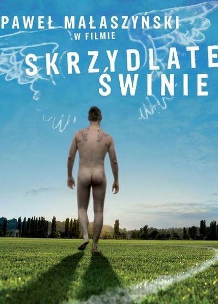 Skrzydlate świnie