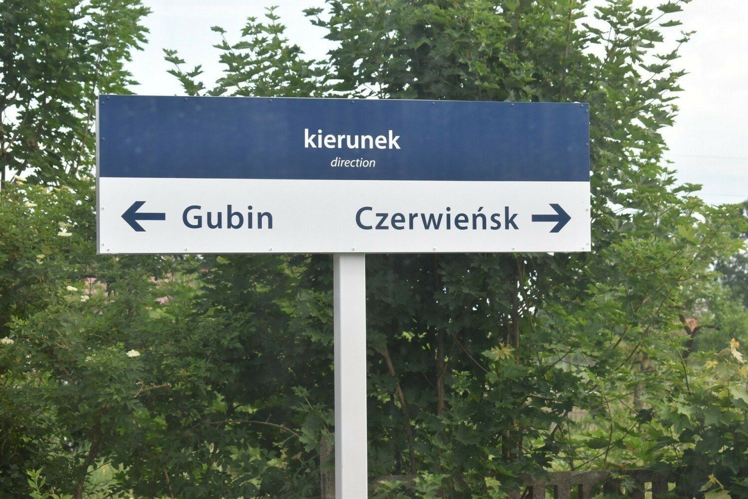 Pociąg z Zielonej Góry do Gubina