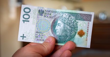 Co trzeci Polak nie ma oszczędności na czarną godzinę. "Jesteśmy głodni konsumpcji"