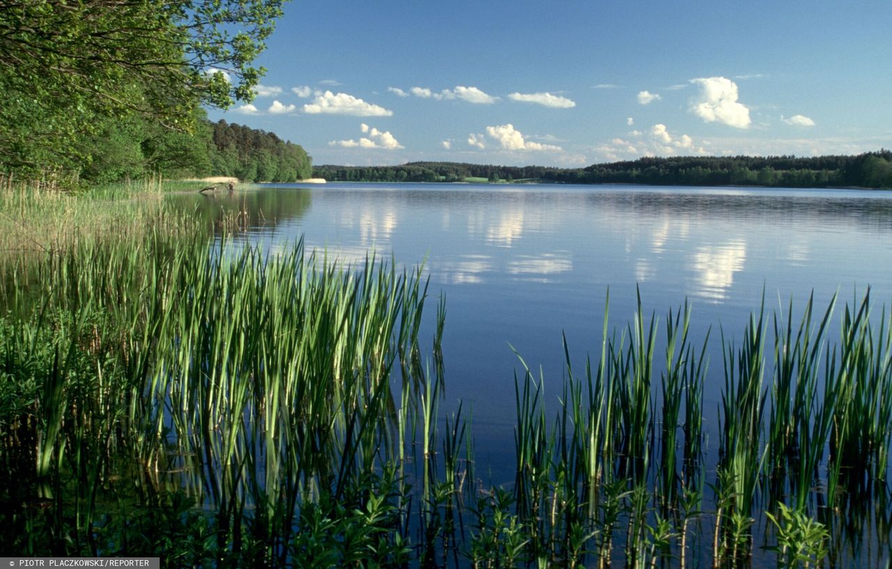 Widok na Jezioro Łańskie