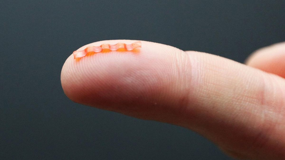 Polski robot zadziwia świat. To elastyczna, zasilana światłem mikromaszyna 1