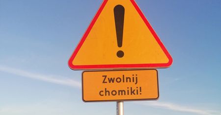 Wszyscy śmieją się ze znaku pod Zamościem. Naprawdę się pojawił