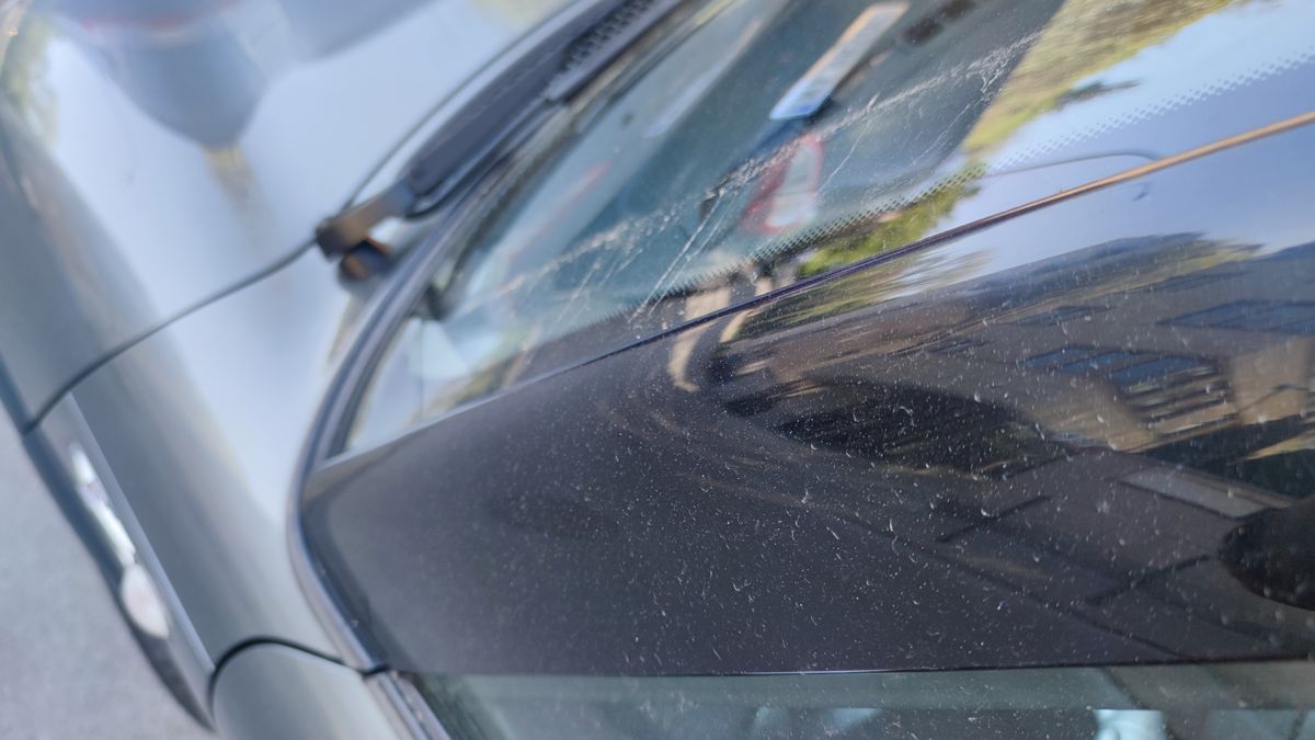 Żółty pył może być uciążliwy nie tylko dla kierowców