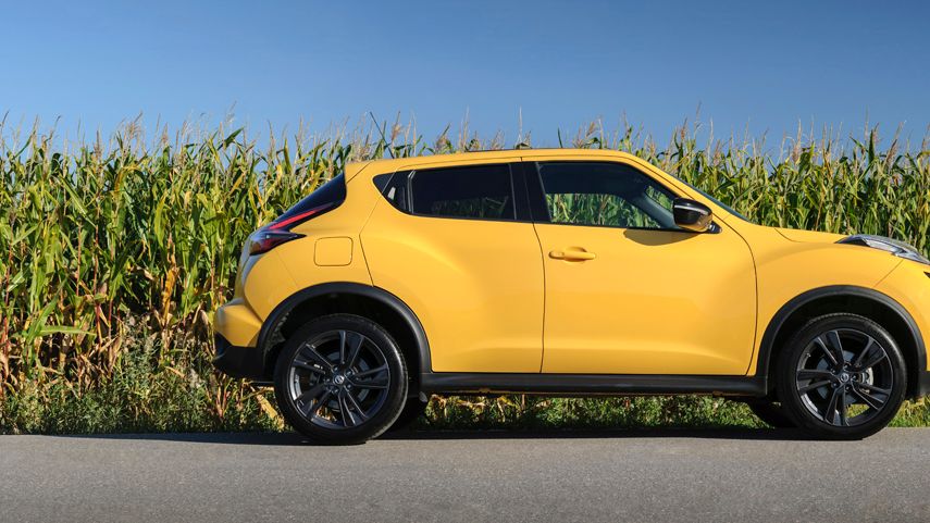 Zdjęcie ilustracyjne do artykułu