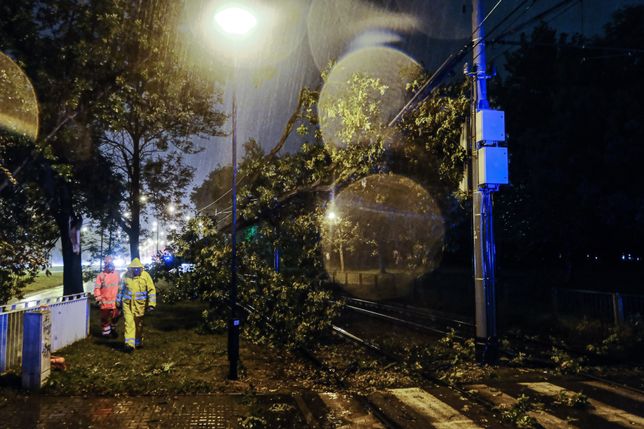 Radar burz. Wichura nad centralną Polską - WP Wiadomości