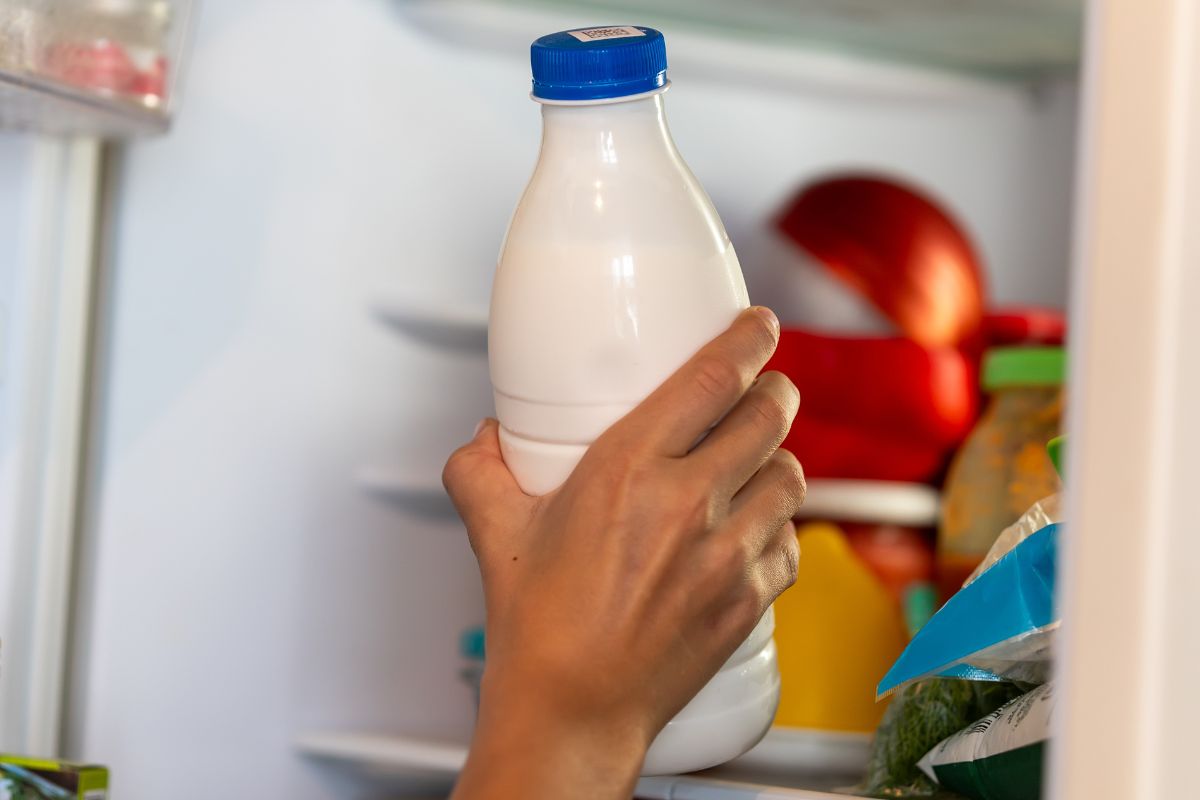 Wiele osób trzyma mleko na drzwiach lodówki