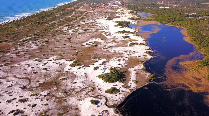 Lasy Atlantyckie Brazylii