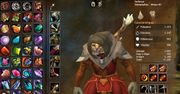 Pięć sekund sławy: gracz jeszcze przed premierą zdobywa maksymalny poziom postaci w Guild Wars 2