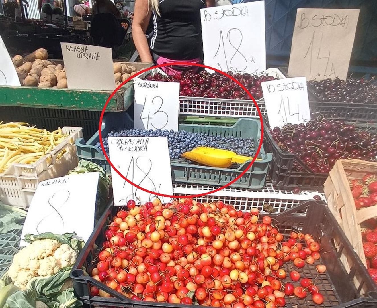 Ceny za borówkę na targu w Bydgoszczy.