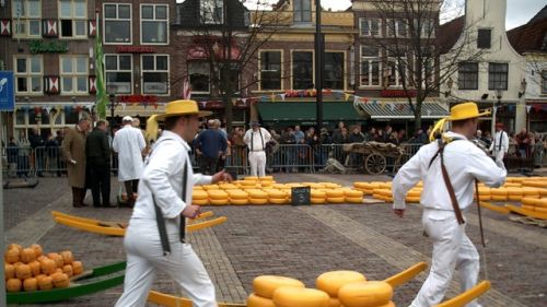 Targ serów w Alkmaar 1