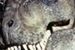 ''Jurassic Park 4'': Colin Trevorrow oko w oko z dinozaurami