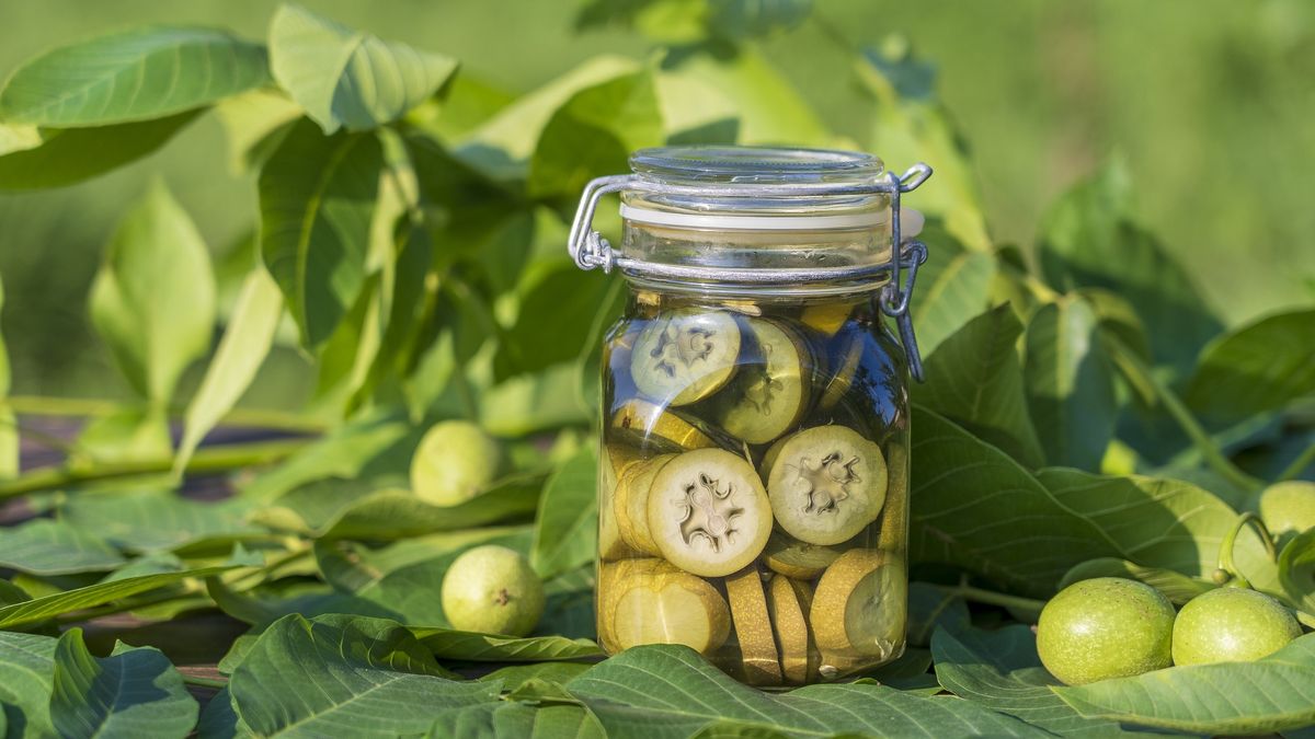 Sliced unripe walnuts in alcohol in a jar, to prepare homemade tincture, close up
Sliced unripe walnuts in alcohol in a jar, to prepare homemade tincture, close up. Tincture of green walnuts in a glass jar on a table in the garden
intek1
young, remedy, elixir, naturopathy