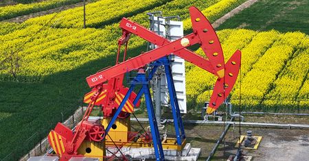 Kanada składa skargę na Chiny. WTO zareaguje na cła?