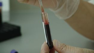 Ponad 30 litrów krwi. Kolejna udana akcja krwiodawstwa w Łęczycy
