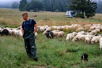 Oscypek zagrożony. Coraz większy problem na Podhalu