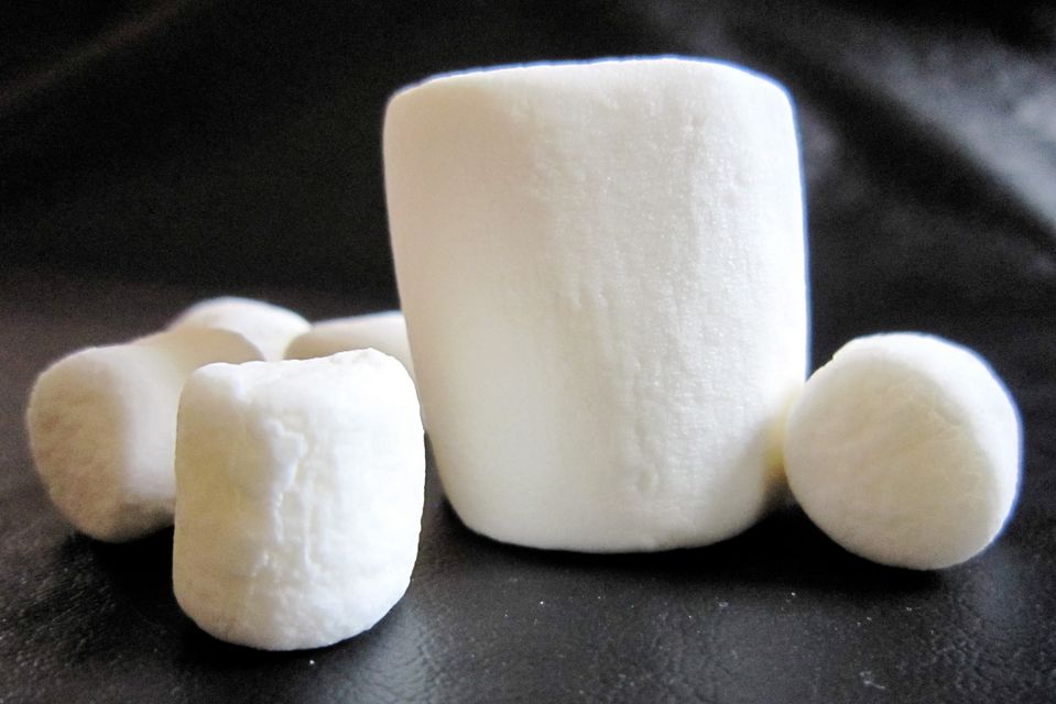 Pianka: oto nazwa najnowszego Androida